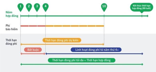 Lý do khách trắng tay khi hủy hợp đồng bảo hiểm trong 2-3 năm đầu ảnh 2