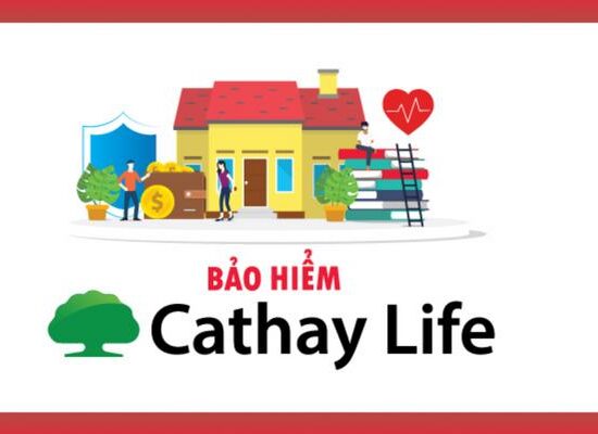 Công ty bảo hiểm Cathay Life lừa đảo đa cấp không? Review làm việc Cathay Life