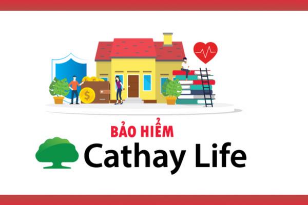 Công ty bảo hiểm Cathay Life lừa đảo đa cấp không? Review làm việc Cathay Life