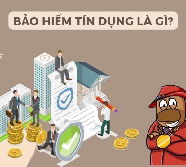 Bảo hiểm tín dụng là gì? Có bắt buộc phải mua bảo hiểm tín dụng không?