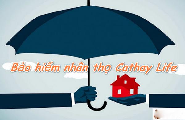Thông tin về các gói bảo hiểm nhân thọ Cathay cần biết!