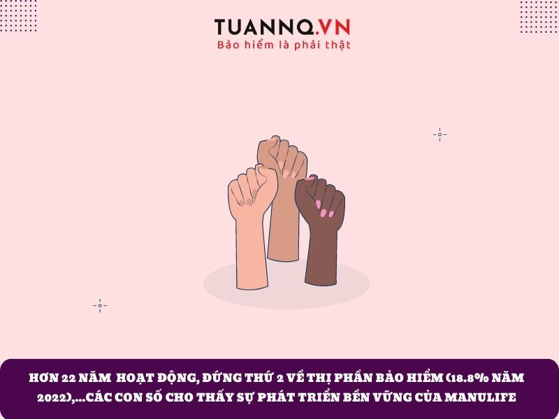 Thông tin về công ty và các gói bảo hiểm Manulife cung cấp