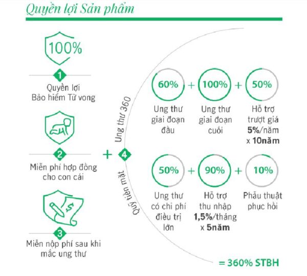 Tổng Hợp Các Gói Bảo Hiểm Manulife Việt Nam