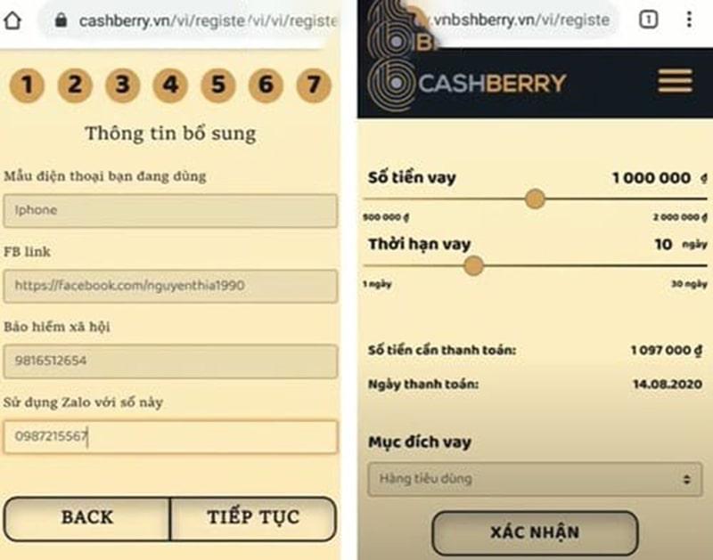 vay tien nhanh nhat cashberry
