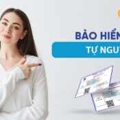 CỔNG GIAO DỊCH BẢO HIỂM XÃ HỘI ĐIỆN TỬ