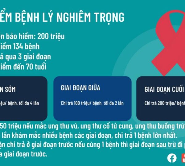 Chỉ 18 triệu mỗi năm, bạn trẻ 28 tuổi có những quyền lợi gì?