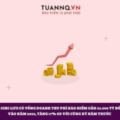 So sánh những ưu điểm nổi bật của bảo hiểm Daiichi và Prudential