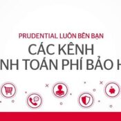 Hướng dẫn cách thanh toán phí bảo hiểm Prudential từ A – Z