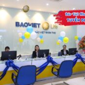 Bảo Việt Nhân thọ tuyển dụng